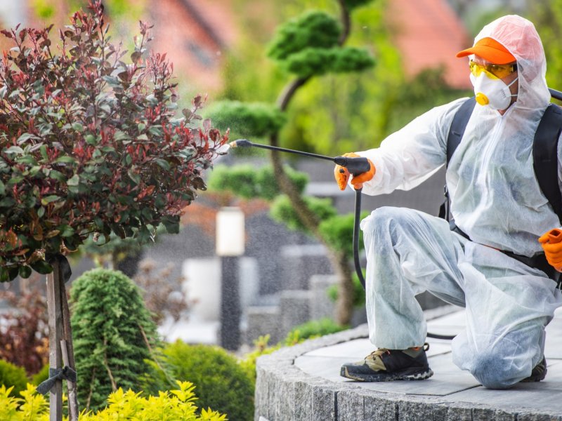 Aybastı Haşere İlaçlama