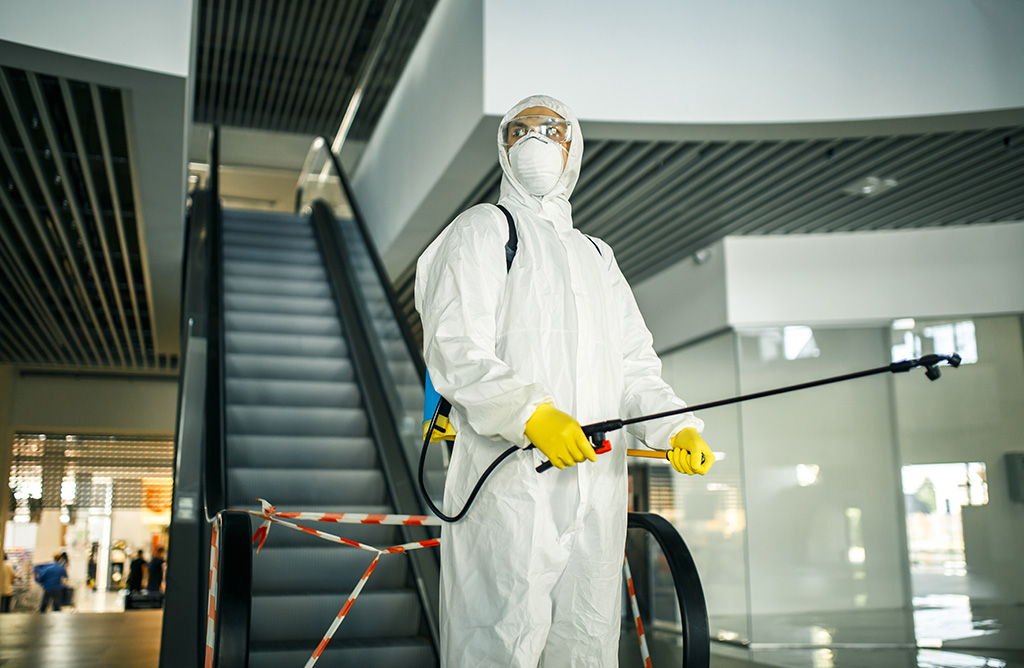 Aybastı Haşere İlaçlama